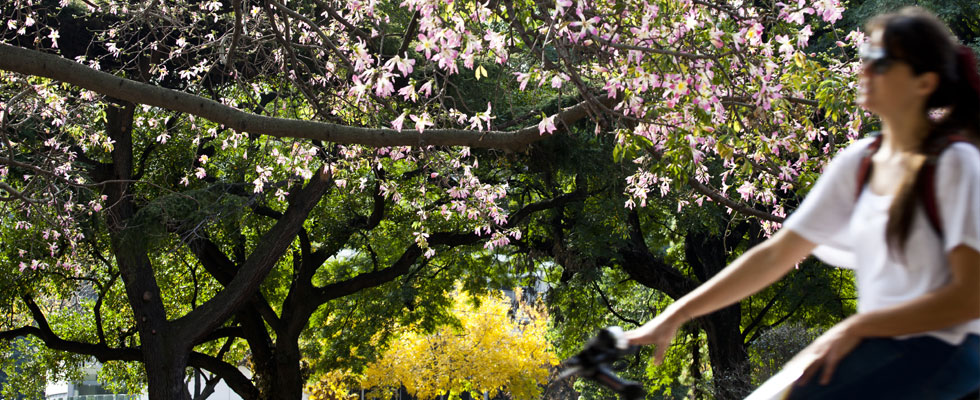 Image Turismo Buenos Aires